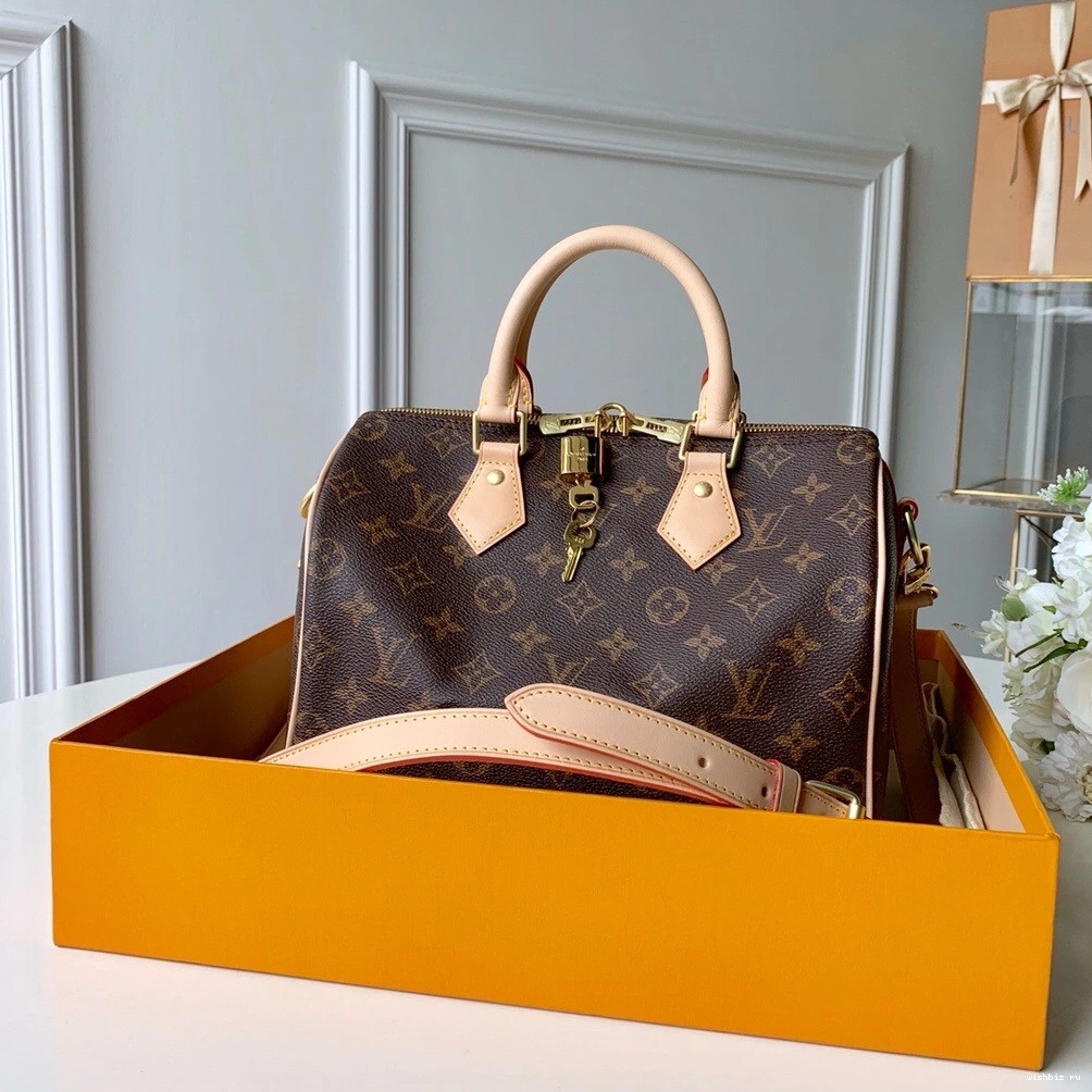 WIS Vuitton BANDOULIERE SPEEDY 25 Louis 0205